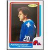 Image 1 : 1986-87 O-PEE-CHEE ANTON STASTNY