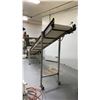 Image 4 : STAINLESS STEEL 18"W X 160"L X 76"H COMMERCIAL MOBILE POWERED FEEDER CONVEYOR SYSTEM WITH SECOND