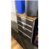 Image 5 : 2 METAL 2 DRAWER LATERAL FILE CABINETS, 4 DRAWER STORAGE CABINET, NOMA ELECTRIC FLOOR FAN, &