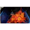 Image 6 : 3 BINS OF ASSORTED HALLOWEEN DECORE ITEMS *BINS INCLUDED*