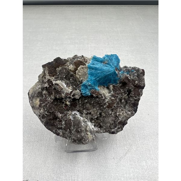 2.3 INCH CAVENSTE SPECIMEN