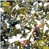 Image 5 : Assorted Vintage Military Small Size Toys