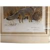 Image 2 : 1985 Robert Bateman Signed L.E.P. "Swift Fox Study" 403/950