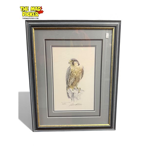1988 Robert Bateman Signed L.E.P. "Peregrine Falcon" 723/950 With COA