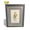 Image 1 : 1988 Robert Bateman Signed L.E.P. "Peregrine Falcon" 723/950 With COA