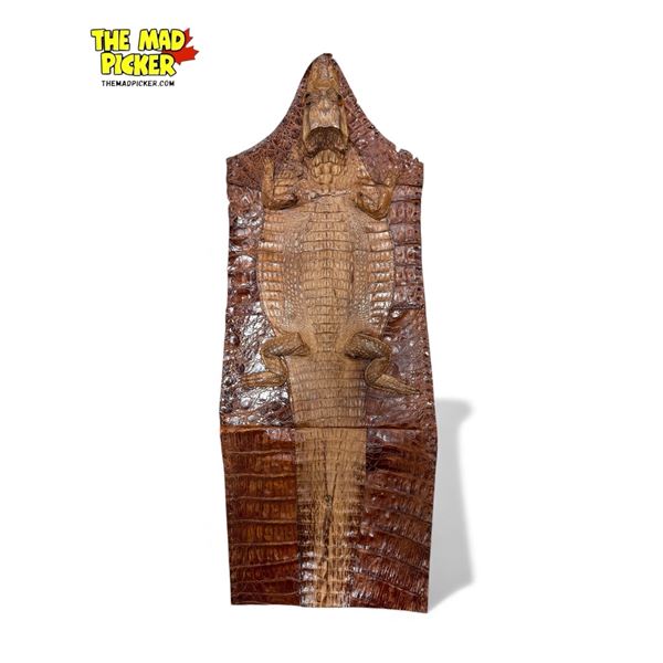 Vintage Taxidermy Alligator