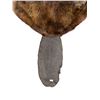 Image 2 : Vintage Beaver Pelt With Tail