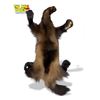 Image 2 : Vintage Taxidermy Wolverine Pelt