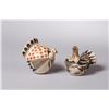 Image 1 : Two Acoma Turkeys