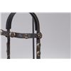 Image 6 : Transitional Mexican-Spanish Colonial Bridle with Native American Bit