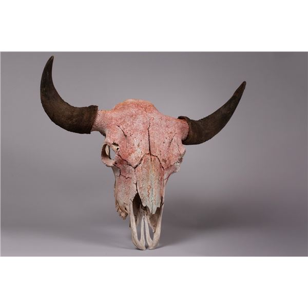 Early Native American painted Bison Skull, 1890s