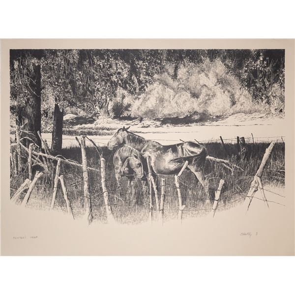 Bob Shufelt 'Shoofly' "Swapping Tails (80-640)