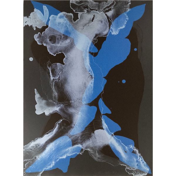 Alice Baber (1928-1982), Printer's proof