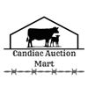 Image 1 : Lot 106