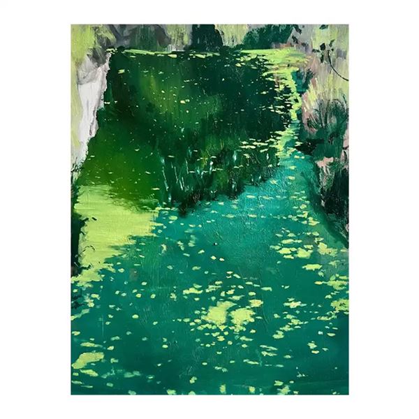 Dream of the Duckweed Stream