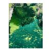 Image 1 : Dream of the Duckweed Stream