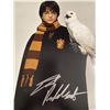 Image 1 : Harry Potter Daniel Radcliffe signed movie photo