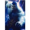 Image 1 : Avengers: Infinity War Mark Ruffalo signed movie photo