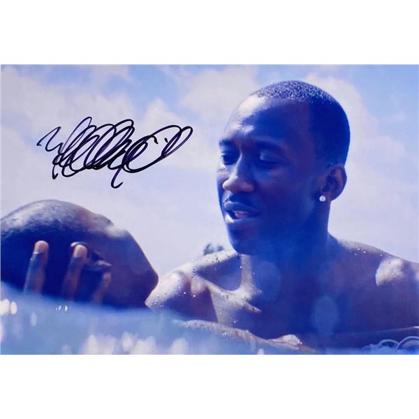Moonlight Mahershala Ali facsimile signed movie photo
