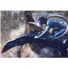 Image 1 : Avatar Sam Worthington signed movie photo