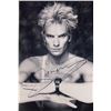Image 1 : Sting facsimile signed  photo