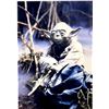 Image 1 : Star Wars Yoda Frank Oz facsimile signed movie photo