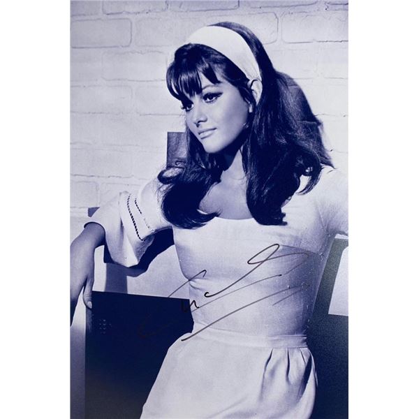 Claudia Cardinale facsimile signed  photo