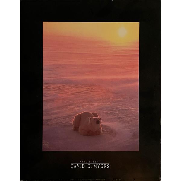 David E. Myers Polar Bear Art Print