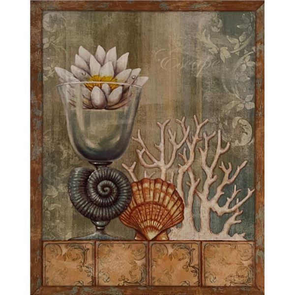 Vintage Seashells Art Print