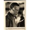 Image 1 : Pulp Fiction Samuel L. Jackson Unsigned Photo