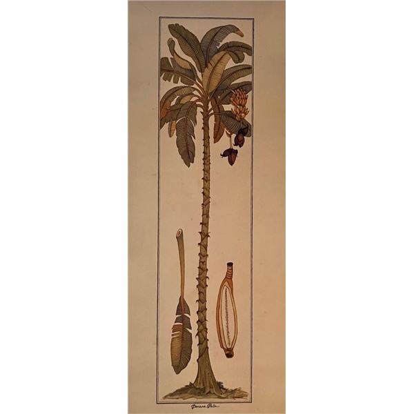 Vintage Tropical Banana Palm Tree Art Print