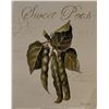 Image 1 : Vintage Sweet Peas Garden Art Print