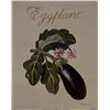 Image 1 : Vintage Eggplant Garden Art Print