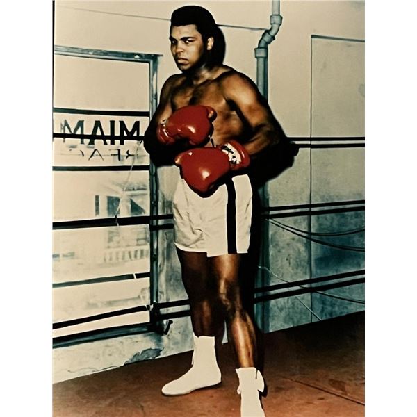 Boxer Muhammed Ali Unsigned Photo