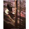 Image 1 : Bald Eagle Art Print