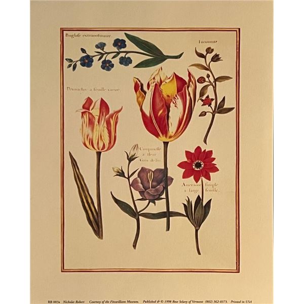 Vintage Floral Art Print