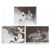 Image 1 : A Trio of "Fantasia" Publicity Photostats.