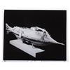 Image 3 : A Collection of "20,000 Leagues Under the Sea" Publicity Photos.