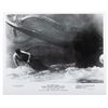 Image 7 : A Collection of "20,000 Leagues Under the Sea" Publicity Photos.