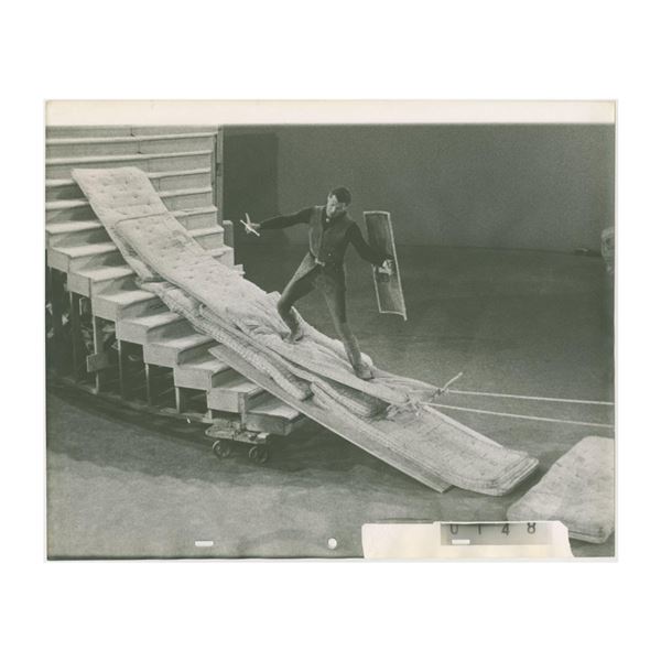 A "Sleeping Beauty" Photostat Reference Print.