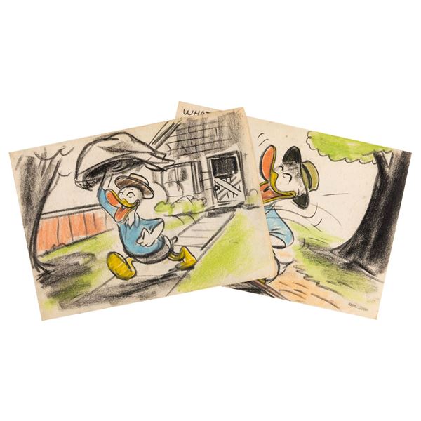 A Pair of Donald Duck Storyboards.