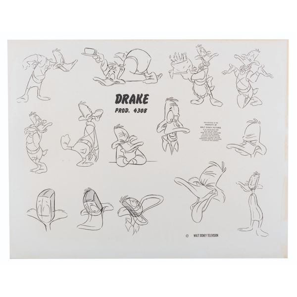 A "Darkwing Duck" Drake Mallard Model Sheet.