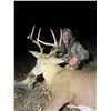 Image 2 : Missouri Archery/Crossbow Whitetail Hunt