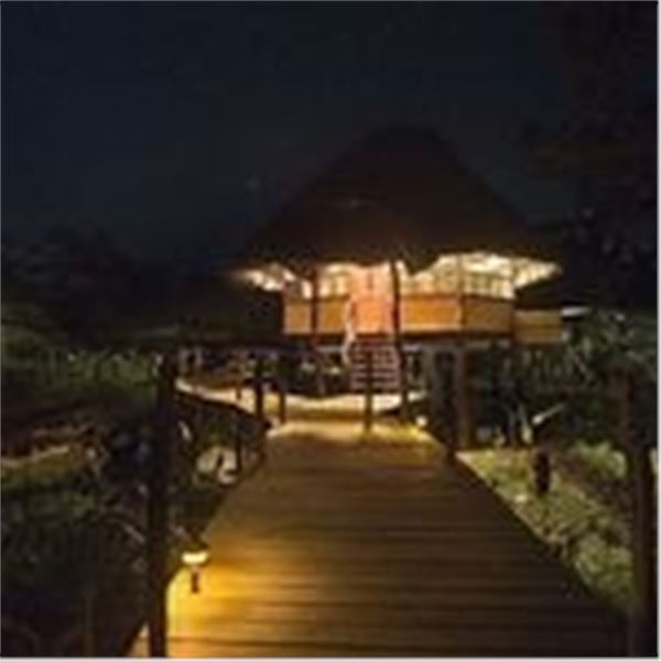 Belize Jungle Adventure - 8 days