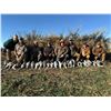 Image 2 : Texas Sandhill Crane Hunt for 2 Hunters