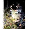 Image 5 : Missouri Archery/Crossbow Whitetail Hunt for 1 Hunter