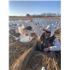 Image 4 : Missouri Pheasant Hunt for 2 hunters with Snowgoose Option
