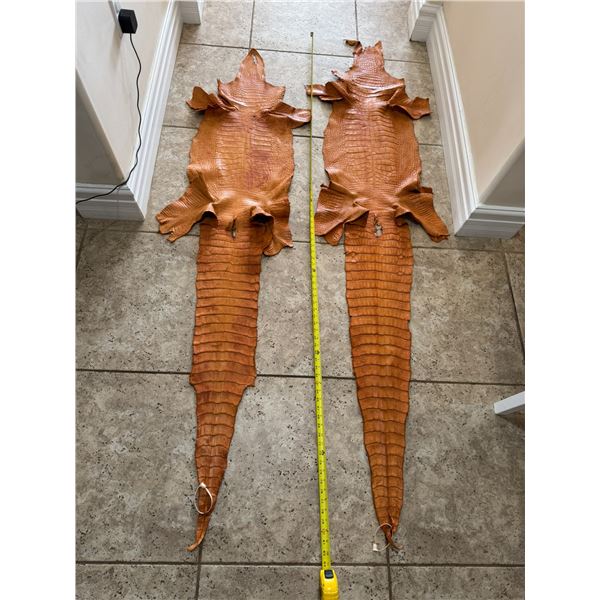 Pair of Tanned American Alligator Hides