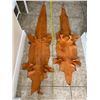 Image 2 : Pair of Tanned American Alligator Hides