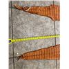 Image 4 : Pair of Tanned American Alligator Hides